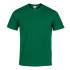 Camiseta Joma Desert Manga Corta Hombre/Niño Verde