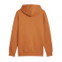 Sudadera Casual Puma Essentials Big Logo Hoodie Fl (S) Hombre