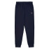 Pantalón Champion Rib Cuff Pants Hombre Azul