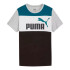 Camiseta Casual Puma Ess Block Niño