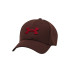 Gorra Under Armour Blitzing Hombre Marrón