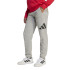 Pantalones adidas Big Logo French Terry Infantil Gris/Negro