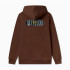 Chaqueta Puma Essentials+ Graphic Hoodie Fz Hombre Marrón