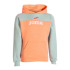 Sudadera Con Capucha Park Salmón Azul