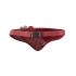 Cinturón de Running Salomon Active 3D Bottle High Risk Red/Red