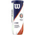 Pelotas de Tenis Wilson Roland Garros Clay Ct 3 Ball Amarillo