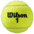 Pelotas de Tenis Wilson Roland Garros Clay Ct 3 Ball Amarillo