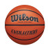 Pelota de baloncesto Wilson Evolution Bskt Emea Hombre Marrón