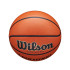 Pelota de baloncesto Wilson Evolution Bskt Emea Hombre Marrón
