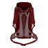 Mochila de Montaña Salewa Alp Mate 30 Mujer Rojo Syrah