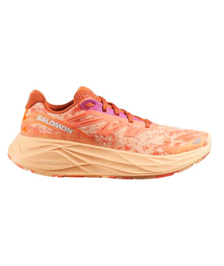 Zapatillas Salomon X Ultra 360 Ltr Gtx Grisai/Caramel...