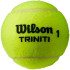 Pelotas de Tenis Wilson Triniti Tball 4 Ball Can Amarillo