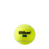 Pelotas de Tenis Wilson Tour Premier All Ct 4 Ball Can Negro/Gold