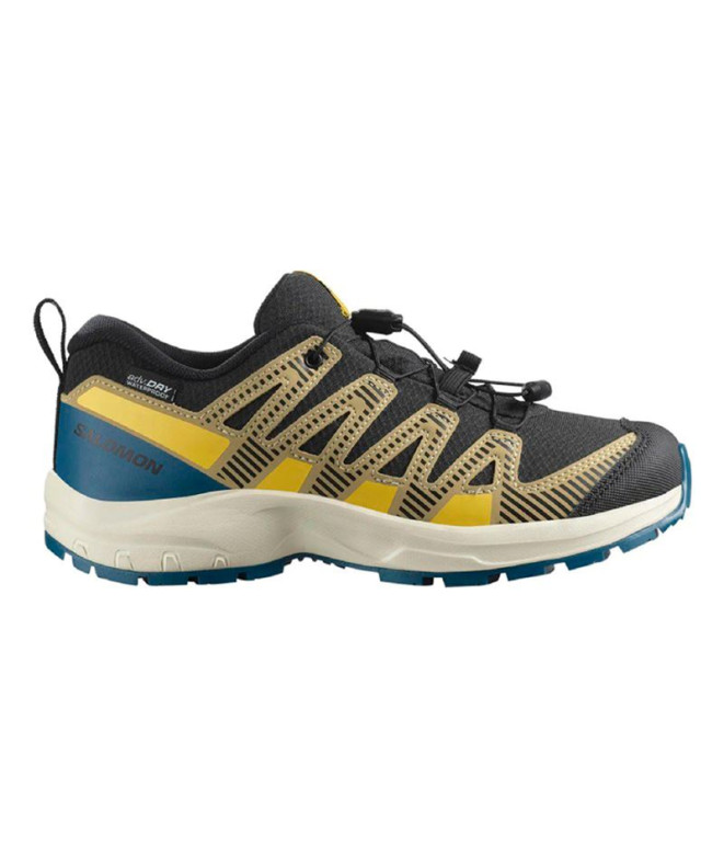 Zapatillas de Montaña Salomon Xa Pro V8...