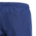 Bañador de Natación adidas Solid Shorts By Infantil Azul Oscuro