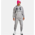 Sudadera de Trainning Under Armour Rival Big Logo