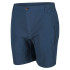 Pantalones de Montaña Regatta Regatta Highton Hombre