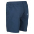Pantalones de Montaña Regatta Regatta Highton Hombre